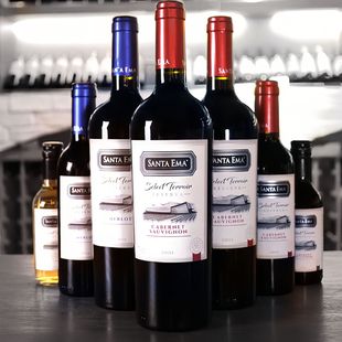 �}���������t�ƶY���bԭƿ�M�ڸɼt���Ѿ����l�����þƼ��������x