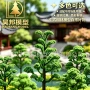 建筑仿真手工景观松树