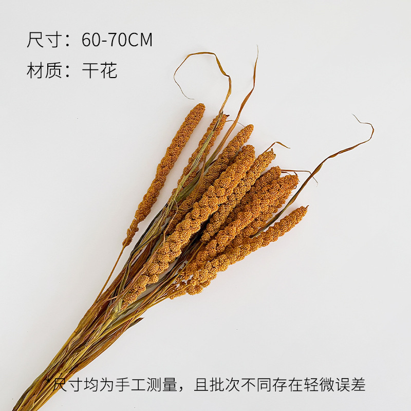芯苼 中秋节月满丰收干花鲜花束搭配材料节日礼物装饰花艺手工diy|undefined