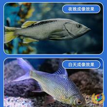 ?����ˮ�¸����ҕ̽�~���z���^��~���C�@ʾ��ˮ�׿��~�������