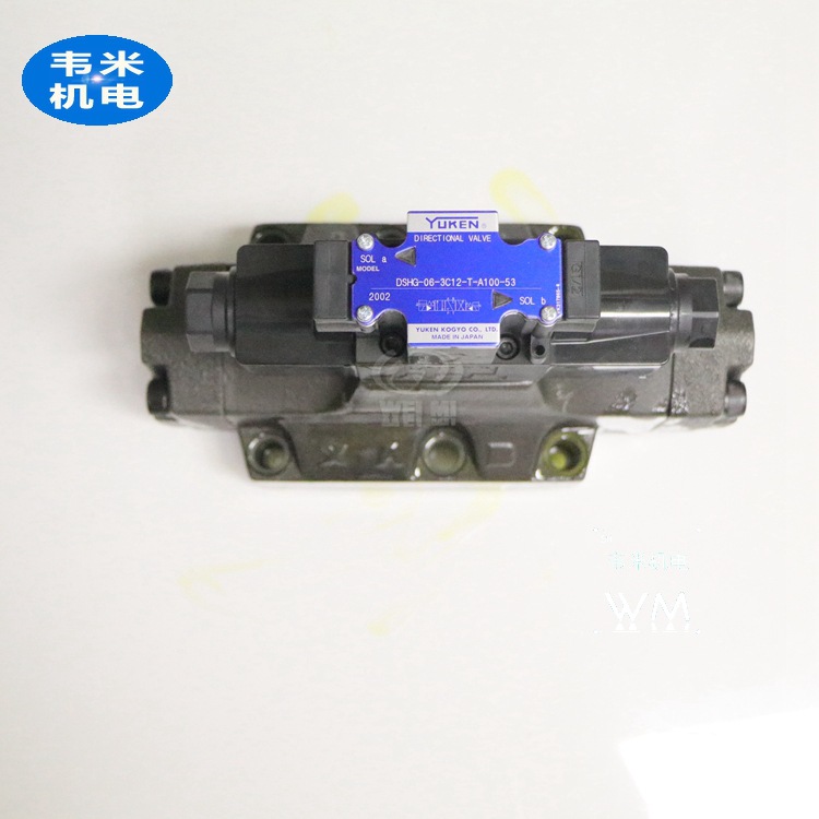 DSHG-06-3C12-T-A100-53