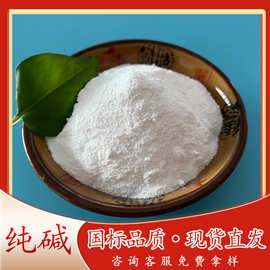 大量现货批发纯碱 99含量食品级纯碱碳酸钠 食品添加剂用纯碱