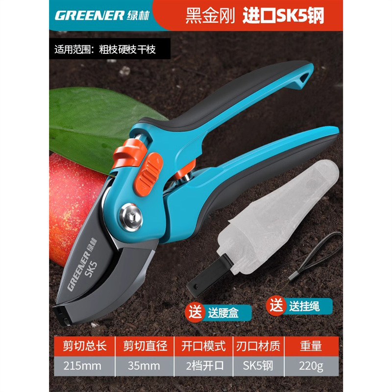 Tijeras florales Artesanía alemana Ramas de frutas Tijeras de ramas Cuchillos Tijeras de poda Bosque verde Jardinería Poda importada Envío gratis