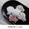 5 flower scallops 5