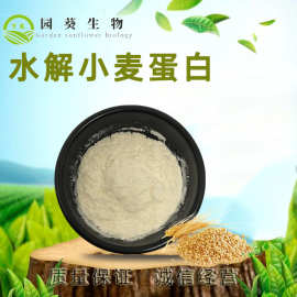 水解小麦蛋白90% 厂家直销食品级小麦蛋白粉 500g小包装 量大议价