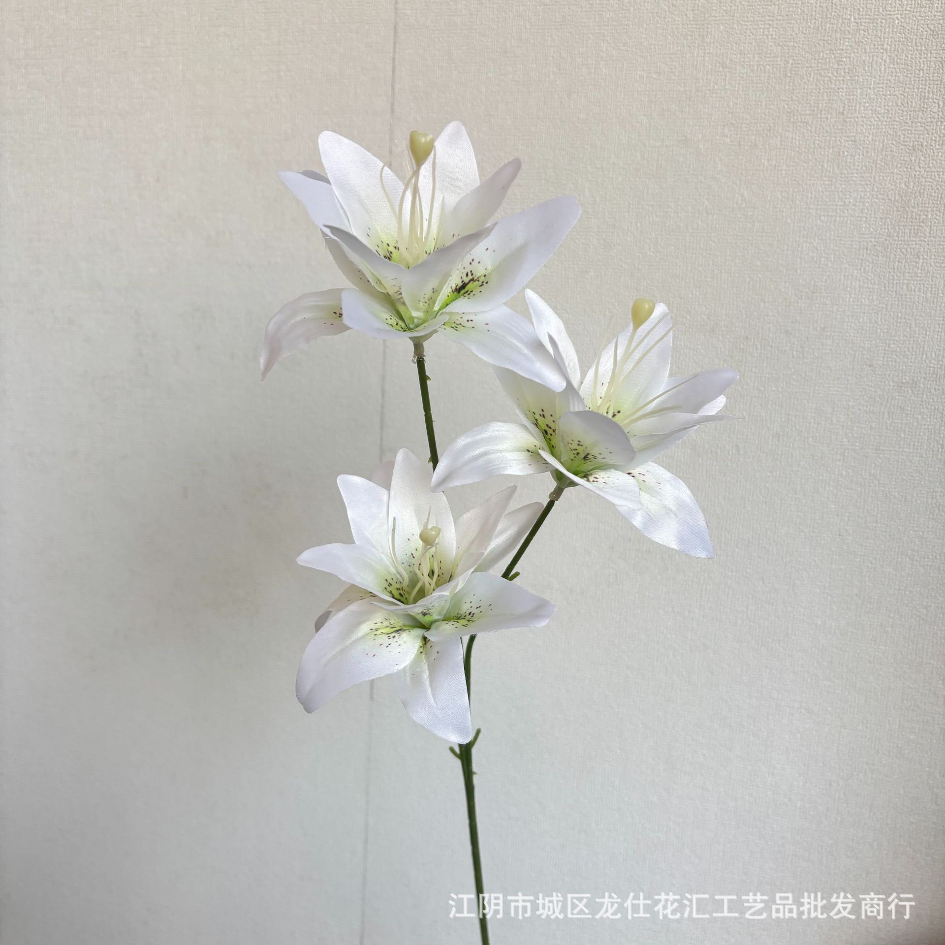 두 송이 백합