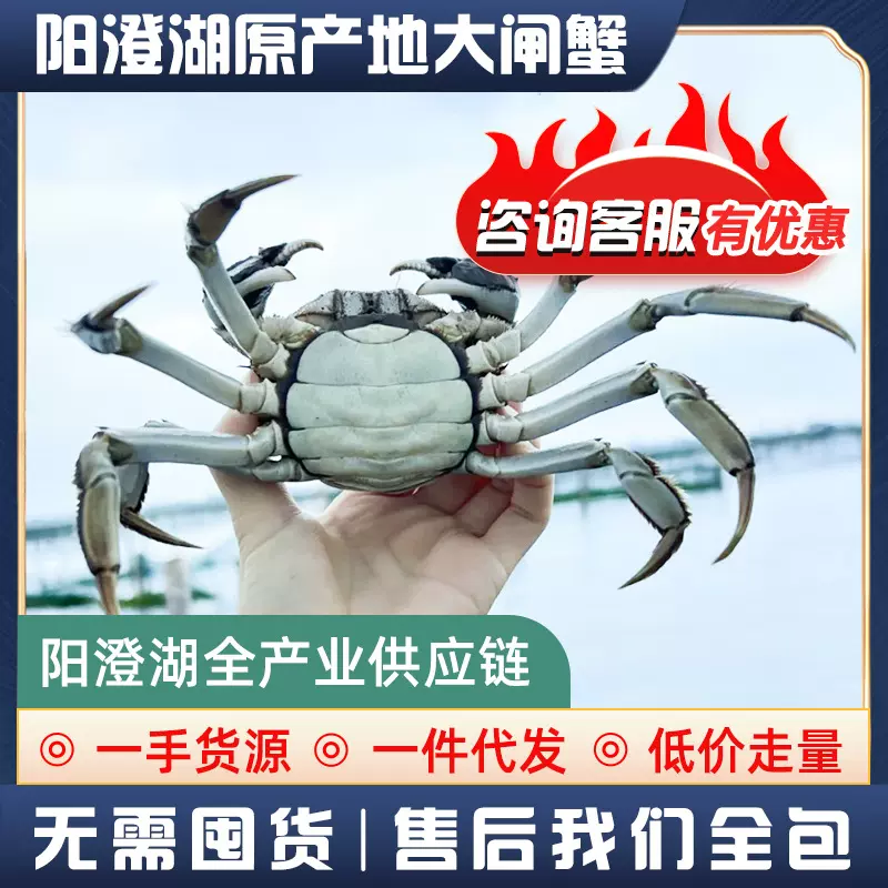 江苏阳澄湖镇大闸蟹加盟招代理微商螃蟹中秋礼盒代发社群团购集采
