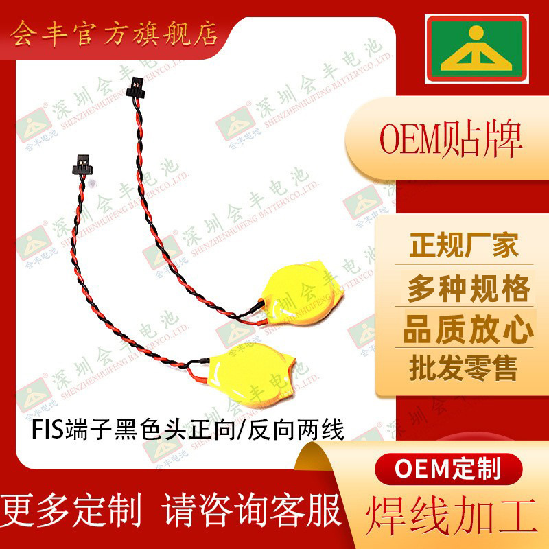 Factory Direct Sales Cr2032 Laptop Motherboard 3V Battery 2-Pin Cmos with Wire Fis Terminal Head Bios