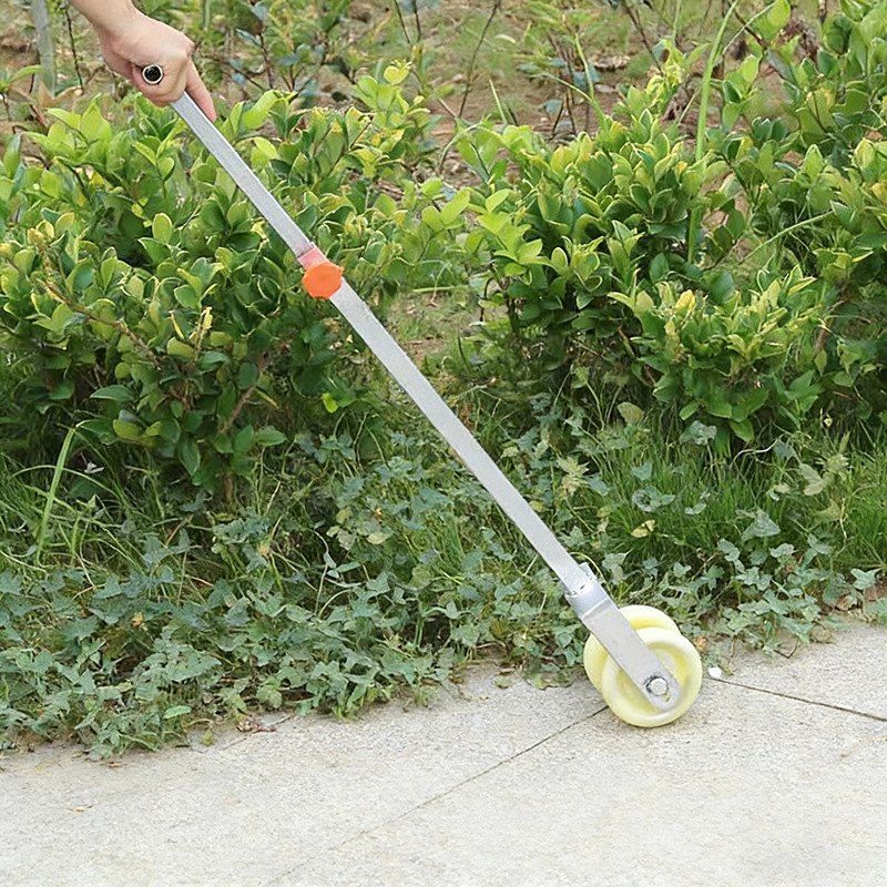 图片文字处理 (5).png