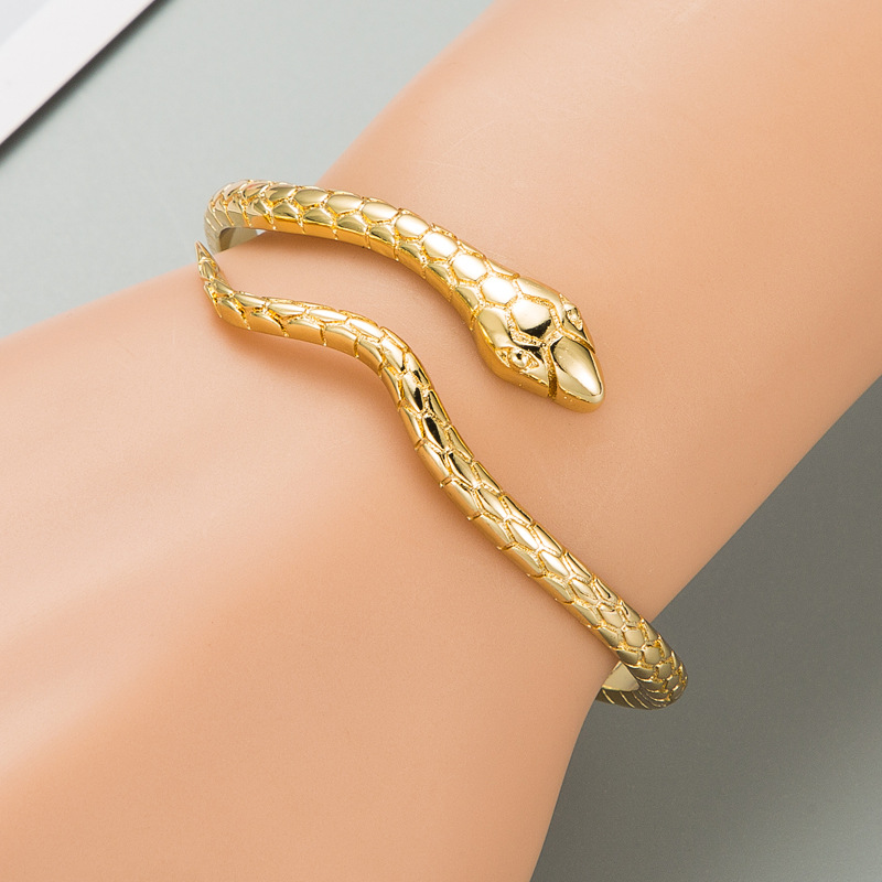 Bracelets En Cuivre En Forme De Serpent Doré À La Mode display picture 5