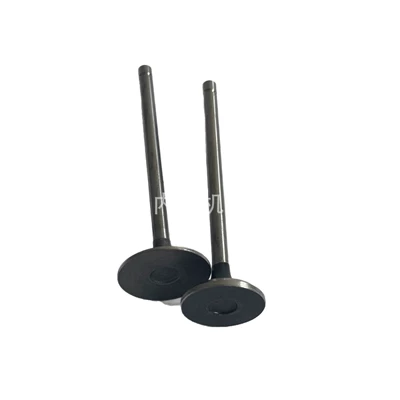 exhaust valve 5256949, Valves and components