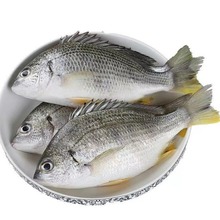 ��ƽ��ˮ�Bֳ�S���~fish�S���~���r������ឺ��rˮ�a�r���S����