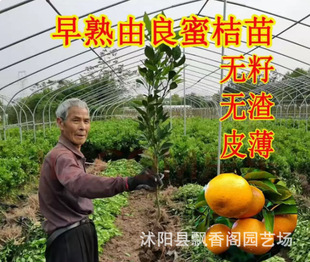 �S�ҟo���۽���޽�������Ә����������S���۽۹����箔��Y����