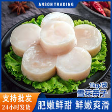带子海鲜带子肉新鲜超大扇贝肉鲜活冷冻扇贝柱特大贝柱瑶柱盒装批