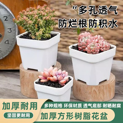 多肉小方盆塑料花盆加厚大小白方多肉盆多肉植物小花盆育苗盆方形