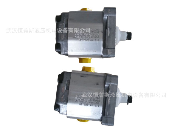 美国DANFOSS萨奥丹佛斯齿轮泵SNP3NN/075RN06AAP1BCBBNNNN/NNNNN