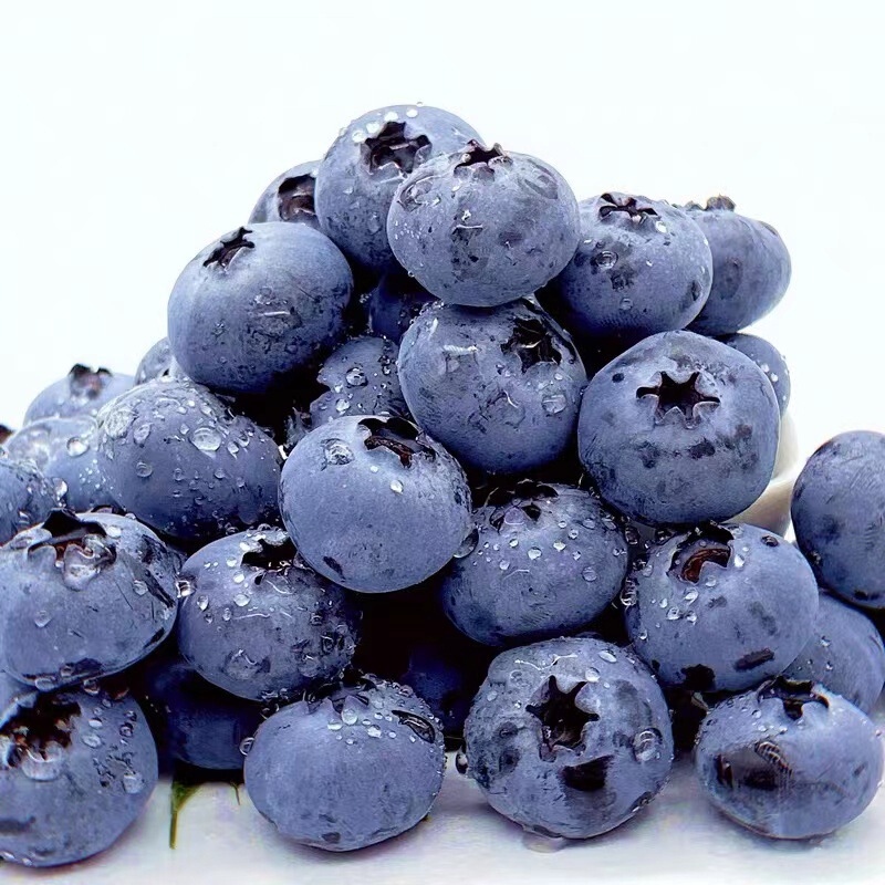 Fresh Blueberries from Yunnan, Direct Delivery from the Place of Origin, Free Shipping on Jd.Com, Seasonal Fruit, Blueberries, One-Piece Dropshipping Fresh Blueberries from Yunnan, Direct Delivery from the Place of Origin, Free Shipping on Jd.Com, Seasonal Fruit, Blueberries, One-Piece Dropshipping