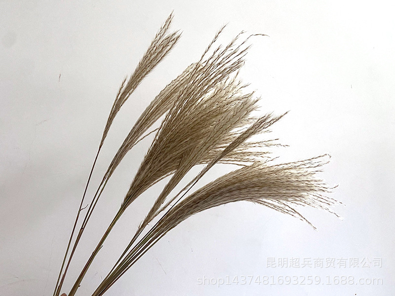 QQ图片20211106150843.jpg