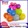 Dumbbells for gym suitable for men and women, wholesale