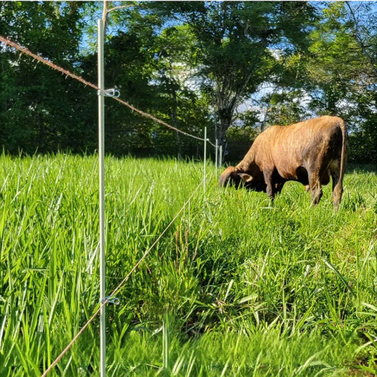 农用玻璃钢圆棒围栏杆养殖场防护栏替代竹木不易腐批量批发