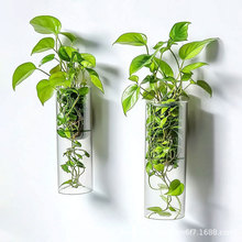 创意家居简约壁挂水培植物花瓶装饰绿萝容器挂瓶亚克力吊瓶可贴标