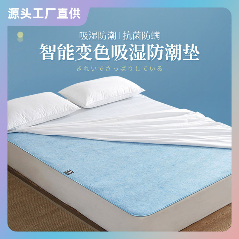 Cross-Border Japanese Amazon Mattress Moisture-Absorbent and Moisture-Proof Mat Indoor Bed Contains Color-Changing Card Silicone