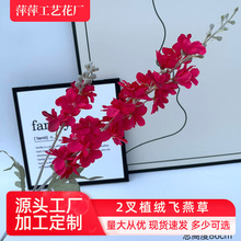 2��ֲ�q�w��ݷ��滨��Y�û��Ų廨�ٻ��Ƶ�͏d�[�O�����L����