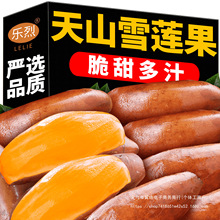 2025新鲜雪莲果新鲜采摘当季水果香甜软糯农家自种产地直发