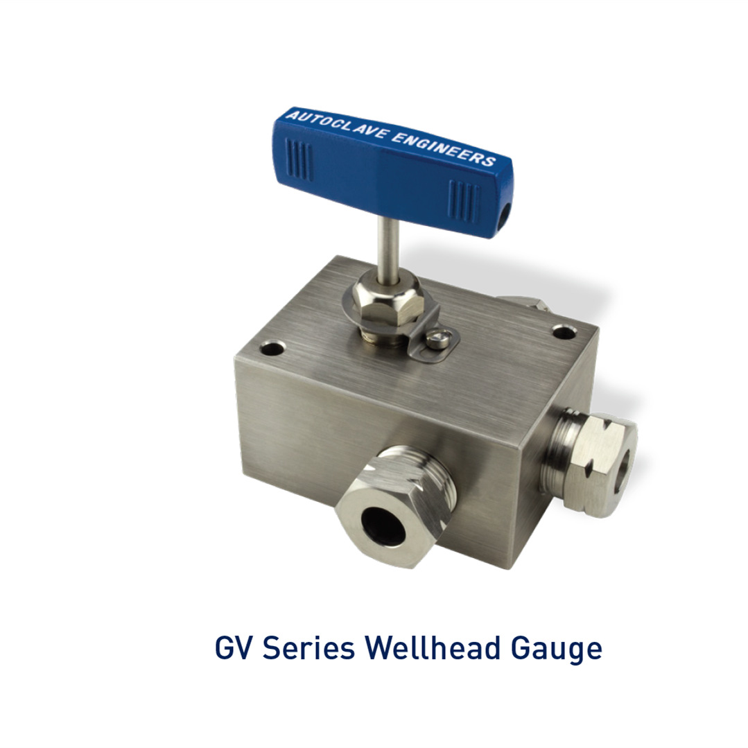 Parker派克 Autoclave 油气井口仪表阀-GV系列 20GV6078-WO