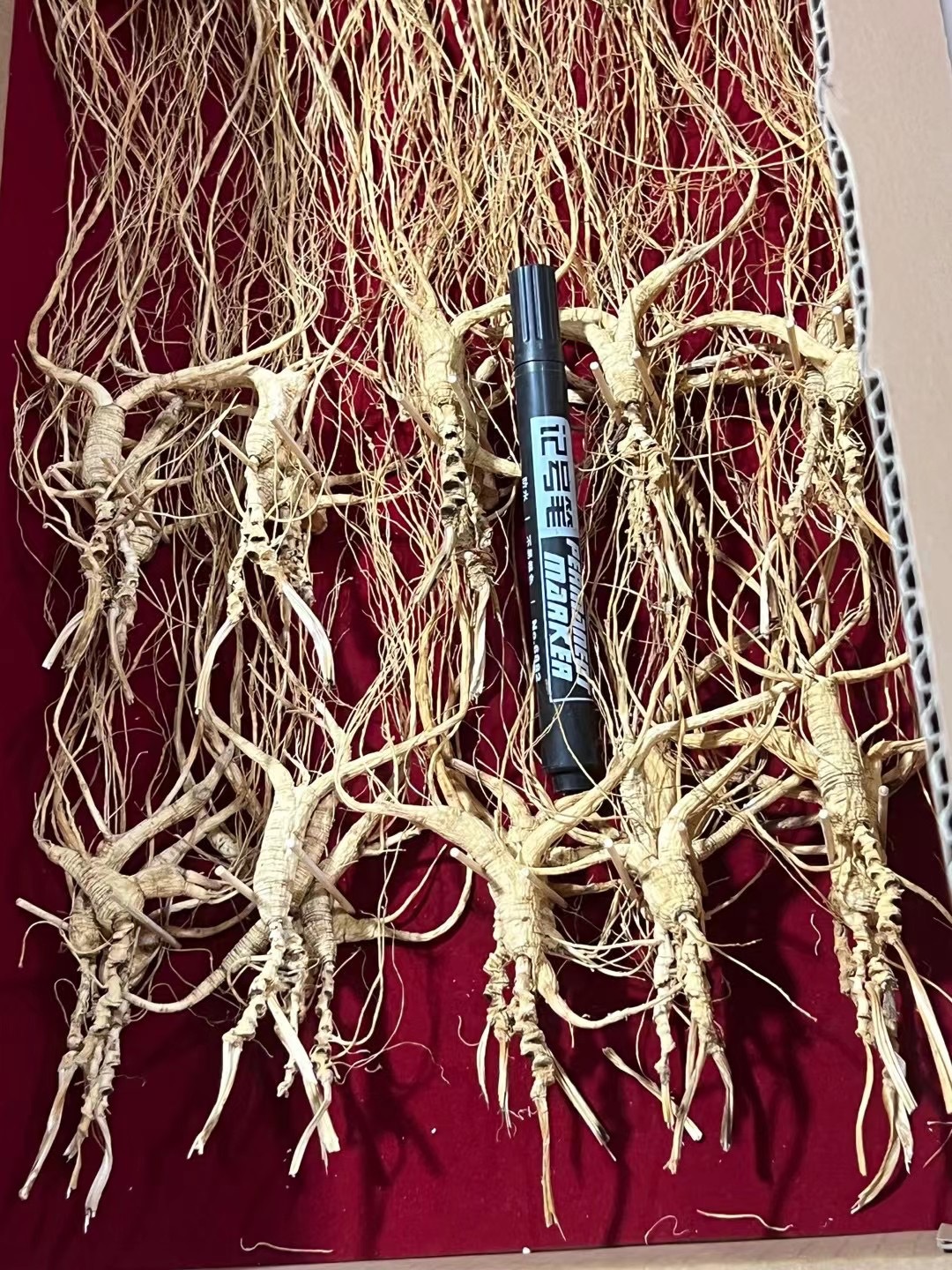 070F5D8F-9F9C-4B85-8458-9D92FD