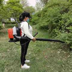 Factory production wholesale high-power backpack road blower wind fire extinguisher forest fire extinguisher snow blower