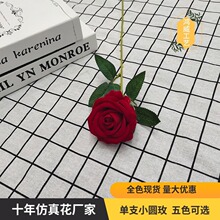 �F؛��֧�q������õ�廨���l�Aõ�����˹�����õ�廨�Ҿ��b羳