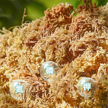 ˮ̦�I�B������޽Ӟ������߉|����̦�����m������ʯ�����F؛���l