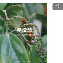 ɜ���� Piper cubeba ӡ�� �ԠI�a�^�M�چη�����ԭ�����l