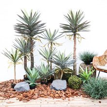 ���������m����Gֲ�����Լل���Ꭷֲ���쾰�҃ș����������b�