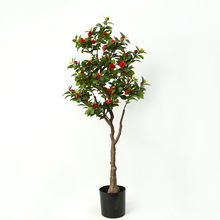 軨bͷ͏dƵebˇٻ