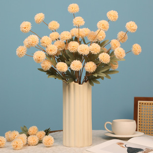 ����5�^�ѹ�Ӣ��Yƹ����շ��滨�b[�����R�d��ɫС�򽁻�