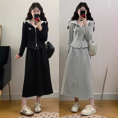 大きいサイズの婦人服の太ったmmの新型の刺繍のレースは上着の半身のスカートの2つのセットをつなぎます。