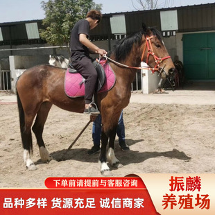 �����R�����X���ϵ؅^���u�T���R�Ć�����R����B�����