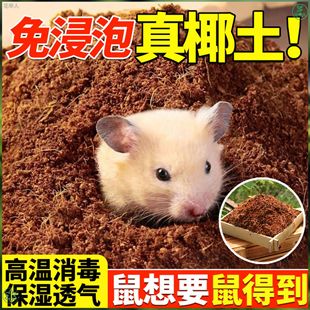 �}����Ҭ��Ҭ�uɳ����������^���|�İ�������������B��֩����