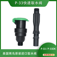 美国雨鸟原装P-33型塑料快速取水阀 6分取水栓园林草坪灌溉取水器