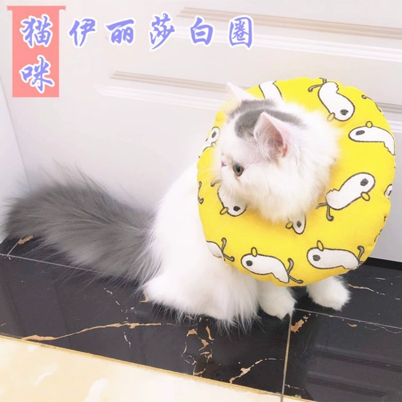 Специальная распродажа собачьего ошейника кошачьего шея кошачьего шея