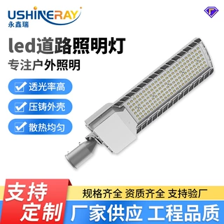 跨境一体路灯定制 小区庭院人行电平板压铸led超亮道路防水照明灯
