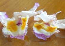 紫皮石斛花干花包邮云南石斛中国紫皮石斛之乡龙陵非铁皮石斛鲜条