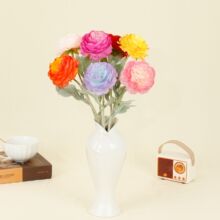 ���^ֲ�q¶ɏ ���滨��Ʒɏ¶����c�b���ɏ¶ֲ�q��ĵ���b�