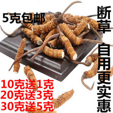 自用 青海玉树西藏那曲冬虫夏草 虫草 养生泡酒断草1克H6
