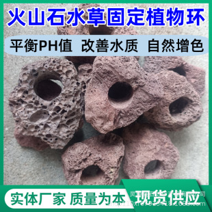 Volcanic Stone Aquatic Plant Base Ring, Large Red Planting Ring for All Seasons, Indoor Aquatic and Terrestrial Planting Ring, Volcanic Rock