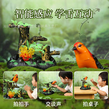 �羳늄���ط���С�B���Ѓ�ͯ����B�b���������lС�YƷ