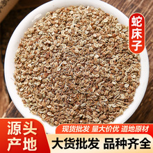 �ߴ��� Ұ���}����Ұ������ș�Įa��؛Դ ���]��ĥ������ă�