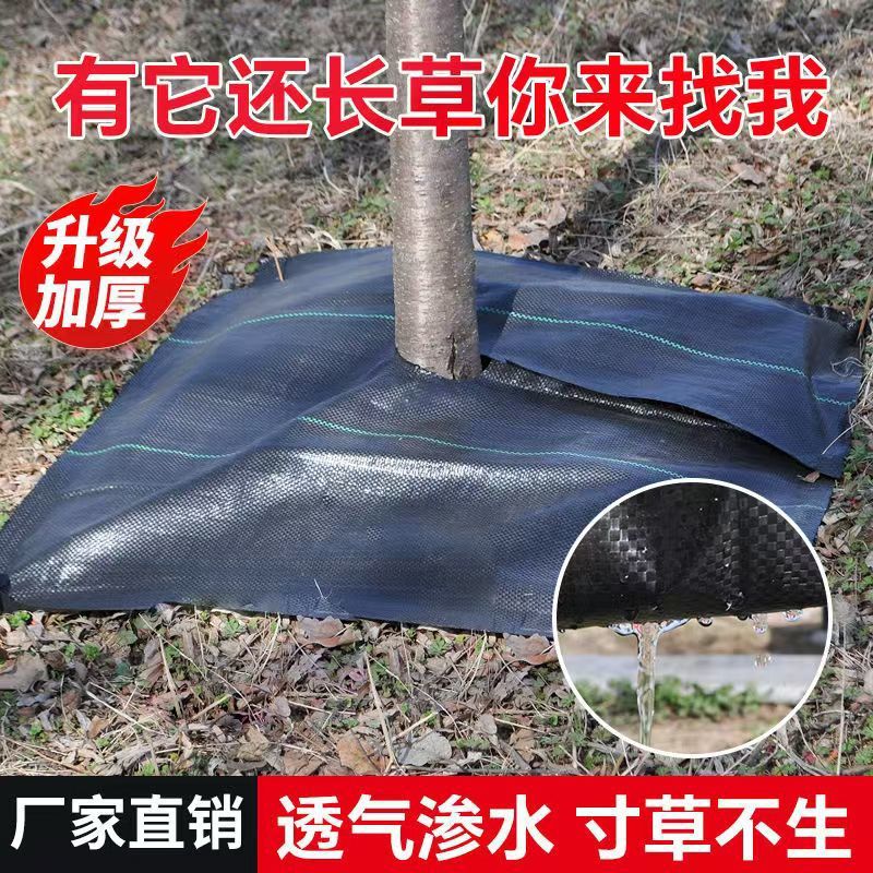 新型防布除布批发透气透水槟榔树果树农用地膜盖布厂家直销